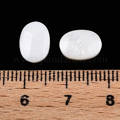 Natural Freshwater Shell Cabochons&nbsp;SHEL-T020-04