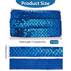 Polyester with PT Paillette Lace Trim Ribbon&nbsp;OCOR-WH20073-01E
