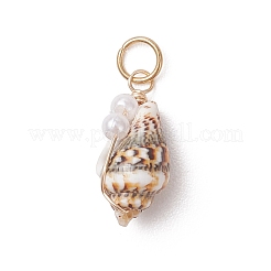 Natural Spiral Shell Pendants&nbsp;PALLOY-JF05044