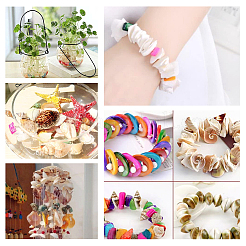 Natural Mixed Shell Beads&nbsp;SSHEL-PH0002-53