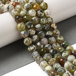 Dyed & Heated Natural Fire Crackle Agate Beads Strands&nbsp;G-P539-C01-03