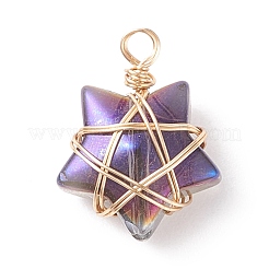 Wire Wrapped Electroplate Glass Charms&nbsp;PALLOY-JF01649-01