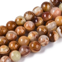 Natural Wood Lace Stone Wooden Jasper Beads Strands&nbsp;G-B128-A04-02