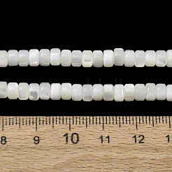 Natural Trochid Shell/Trochus Shell Beads Strands&nbsp;SH-CBA2978-18B