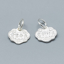 925 Sterling Silver Charms&nbsp;STER-T002-101S