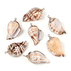 Electroplate Natural Spiral Shell Pendants&nbsp;SSHEL-R144-07