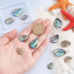 12Pcs 3 Styles Natural Abalone Shell/Paua Shell Beads&nbsp;SHEL-HY0001-02