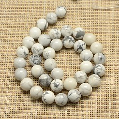 Natural Howlite Beads Strands&nbsp;G-I107-6mm