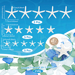 Starfish/Sea Star Opaque Resin Sea Animal Decoden Cabochons&nbsp;RESI-NB0002-06