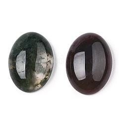 Natural Agate Cabochons&nbsp;X-G-R415-13x18-08