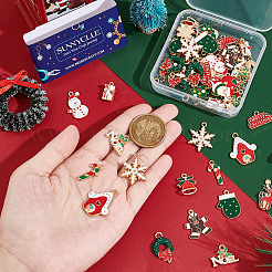 56Pcs 14 Style Alloy Enamel Pendants&nbsp;ENAM-SC0003-71