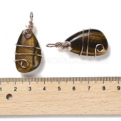 Natural Tiger Eye Pendants&nbsp;G-F763-03RG-03