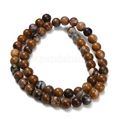 Natural Wealth Stone Beads Strands&nbsp;G-C289-B01-6mm