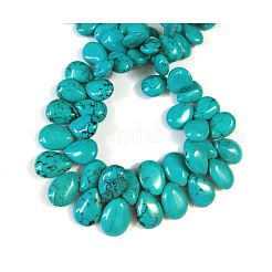 Natural Magnesite Beads Strands&nbsp;TURQ-K003-28B