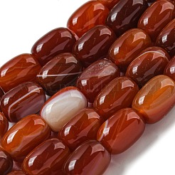 Natural Banded Agate/Striped Agate Beads Strands&nbsp;G-A223-D12-01C