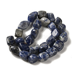 Natural Blue Spot Jasper Beads Strands&nbsp;G-B078-D33-04