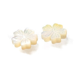 Natural White Shell Beads&nbsp;BSHE-Z008-07