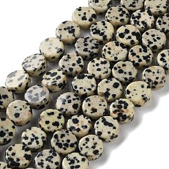 Natural Dalmatian Jasper Beads Strands&nbsp;G-B138-B02-01