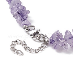 Natural Amethyst Chips Beaded Necklaces&nbsp;NJEW-JN04275-02