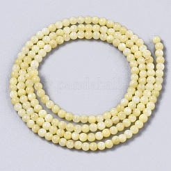 Natural Freshwater Shell Beads Strands&nbsp;BSHE-T009-01E