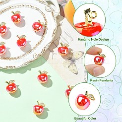 Alloy Resin Charms&nbsp;RESI-CJC0027-09