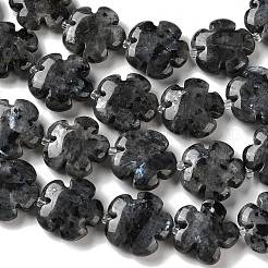 Natural Larvikite Beads Strands&nbsp;G-L241A-21