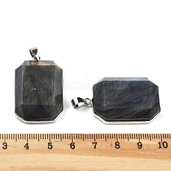 Natural Labradorite Pendants&nbsp;G-B139-02P-04