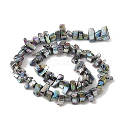 Natural Freshwater Shell Beads Strands&nbsp;BSHE-H018-07E