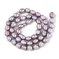 Natural Cultured Freshwater Pearl Beads Strands&nbsp;PEAR-N012-05Y-02