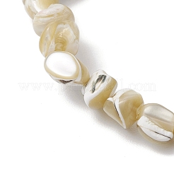Natural Trochus Shell Beads Stretch Bracelets for Men Women&nbsp;BJEW-JB11685