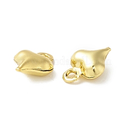Rack Plating Brass Pendants&nbsp;KK-B053-27G