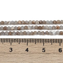 Natural Angelite Beads Strands&nbsp;LS-G-RM2025-A48-A