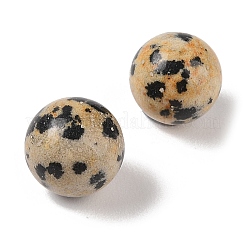 Natural Dalmatian Jasper No Hole Sphere Beads&nbsp;G-K353-04A-16