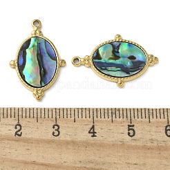 Oval 304 Stainless Steel Natural Paua Shell/White Shell Pendants Ion Plating(IP)&nbsp;STAS-U037-08G-02