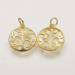 925 Sterling Silver Pendants&nbsp;STER-K029-01G