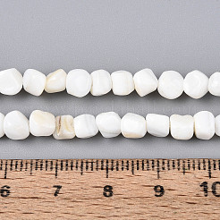 Natural Freshwater Shell Beads Strands&nbsp;SHEL-N038-31