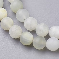 Natural White Moonstone Beads Strands&nbsp;G-J376-67F-8mm