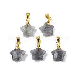 Natural Labradorite Charms&nbsp;G-N326-142-06
