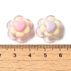 Translucent Resin Decoden Cabochons&nbsp;RESI-M041-07
