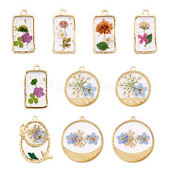 10Pcs 2 Styles Transparent Resin Pendants&nbsp;RESI-TA0005-61