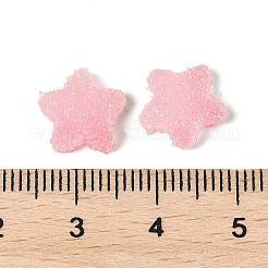 Imitation Candy Food Style Resin Cabochons&nbsp;RESI-R461-02C