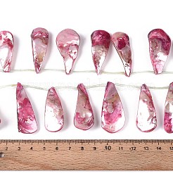 AB Color Plated Dyed Natural Freshwater Shell Beads Strands&nbsp;SHEL-T020-55A