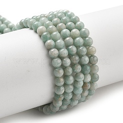 Natural Amazonite Beads Strands&nbsp;G-L618-A01-4mm