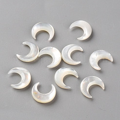 Natural White Shell Beads&nbsp;SSHEL-Q311-004A-01