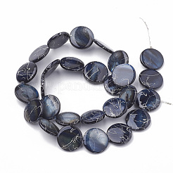 Freshwater Shell Beads Strands&nbsp;SHEL-N020-1-02