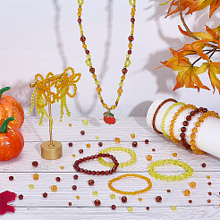 1590Pcs Transparent Acrylic Beads&nbsp;TACR-PH0001-90C