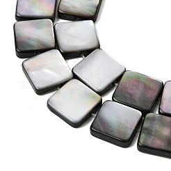 Natural Black Lip Shell Beads Strands&nbsp;SHEL-A006-09B