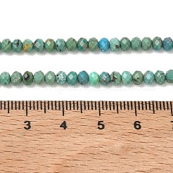 Natural HuBei Turquoise Beads Strands&nbsp;G-P629-B02-01