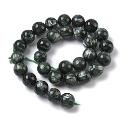 Natural Seraphinite Beads Strands&nbsp;G-C270-O01-13
