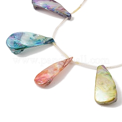 Natural Freshwater Shell Beads Strands&nbsp;BSHE-H018-08